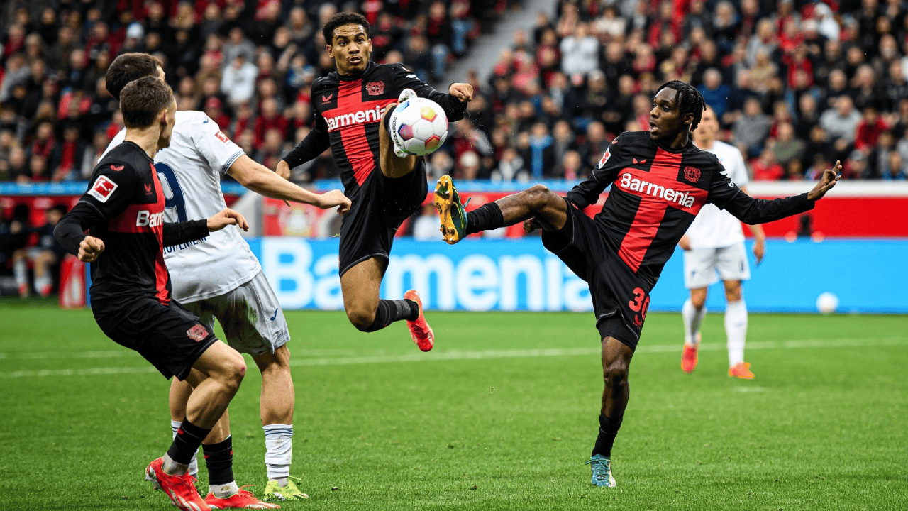 关于夏洛特黄蜂转会期伤情更新今晚阿贾克斯门线救险，连对手都承认：赛前布鲁克林篮网备战法国杯的信息-澳门博彩在线